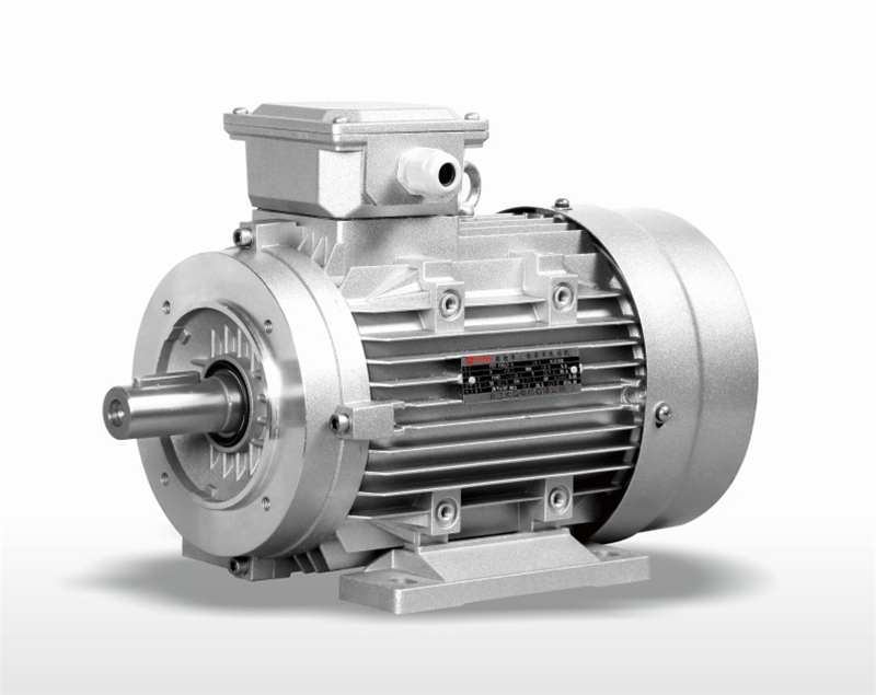 YE2 series high efficiency three phase asynchronous motor.JPG