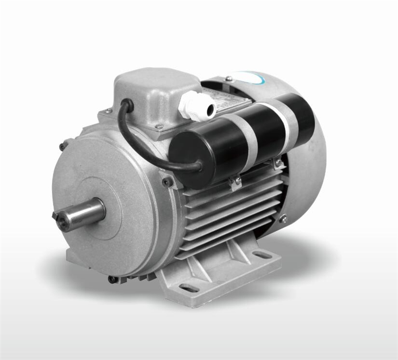 YL series two-value capacitor single phase asynchronous motor.jpg