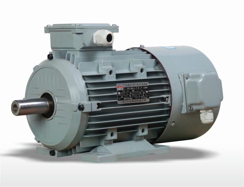 YVF2 series frequency-variable and speed-adjustable three phase asynchronous motor.JPG