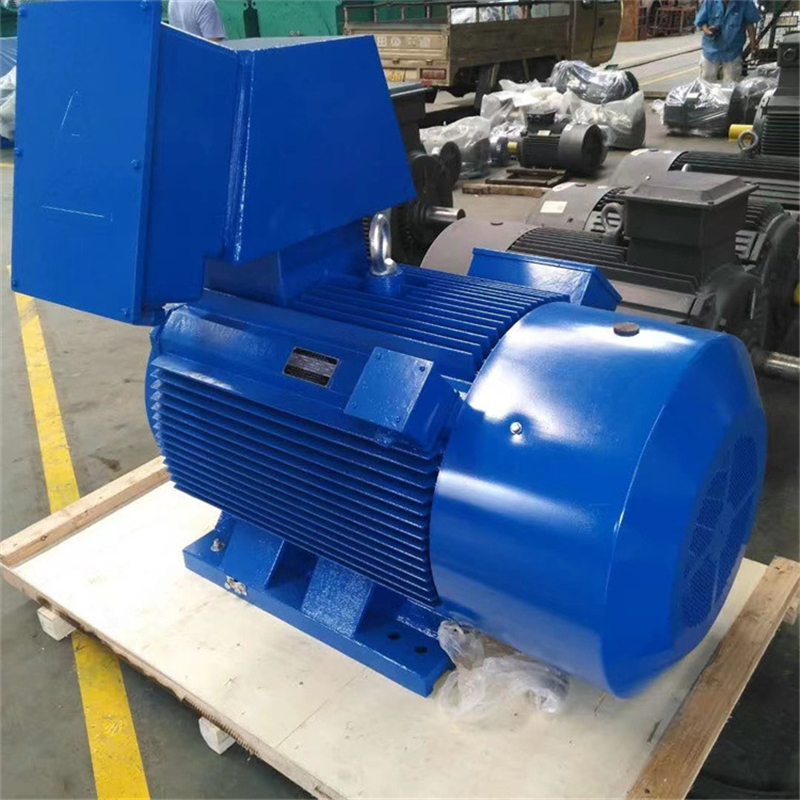 Customized special motor.jpg