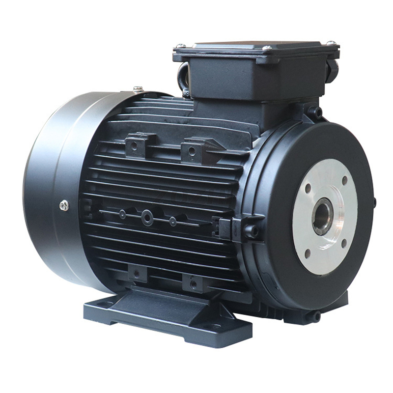 Hollow shaft customized motor.jpg